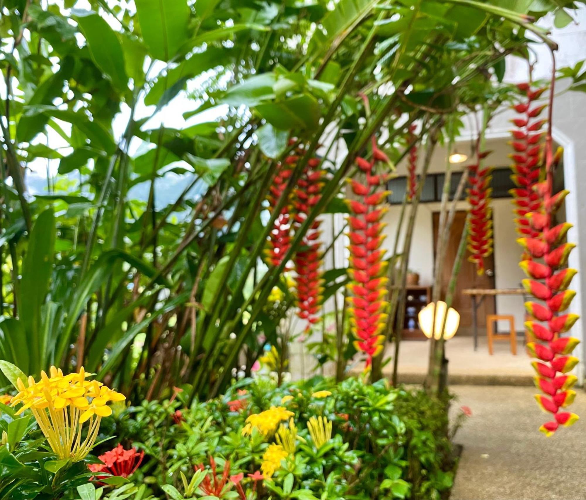 Guesthouse 88 Phang Nga Ngoại thất bức ảnh